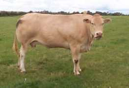 earls-field.freeserve.co.uk Brendian