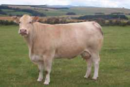 earls-field.freeserve.co.uk Brendian