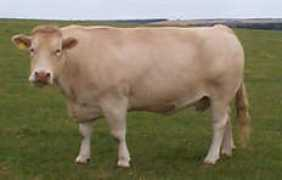 earls-field.freeserve.co.uk Brendian