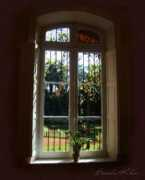ventanasalalma.com.ar Brendis