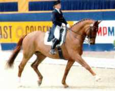 hanoverian.co.nz Brentina