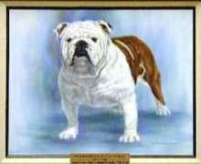 san-dsbulldogs.com Briants