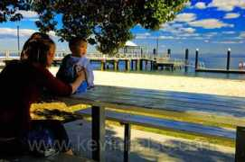 Bribie