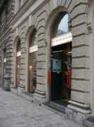Bribo