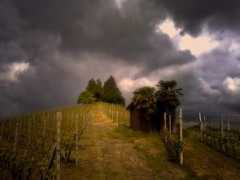 panoramio.com Bricco