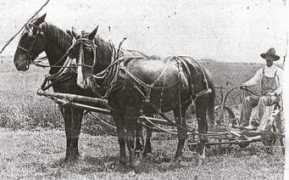 cunninghamfamily.us Brickey