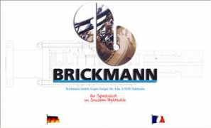 infinite-web.net Brickmann
