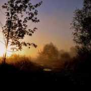 foto.delfi.lt Brido