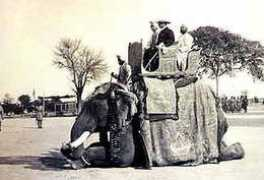 sikh-heritage.co.uk Brijinder