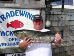 fishtradewinds.com Brila
