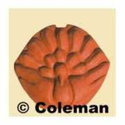 e.coleman.cz Brilia