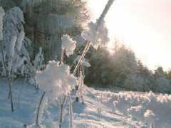 edenpics.com Brinati