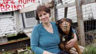 thechronicleherald.ca Brindi