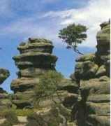 home.pacific.net.au Brinham