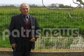 patrisnews.com Brinia