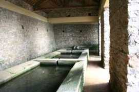 filadelfia.asmenet.it Brisella