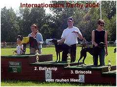 whippetzuechter.de Brisola