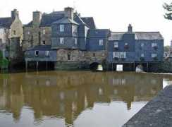 eyeofthefish.org Britanny