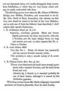 delta-intkey.com Britteni