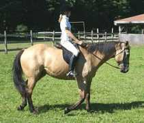 rapaponyfarm.com Britteny