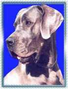 krusesdoggen.de Brixia