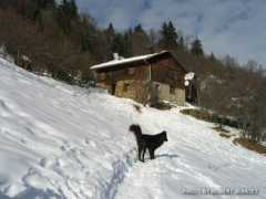 panoramio.com Brizon