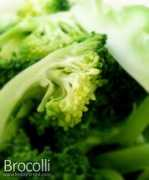 teddy-o-ted.com Brocolli