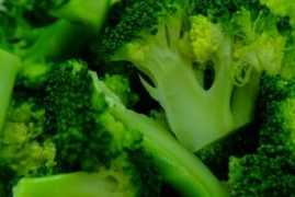 digitaljournal.com Brocolli