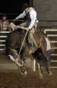 rodeofotos.com Bronc