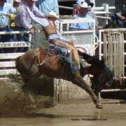 fivestarranch.com Bronc