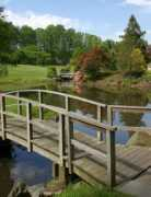 focaledge.com Brookside