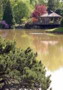 focaledge.com Brookside