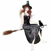 Broomstick