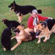 Brooxie