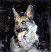 tonyscherman.com Brount