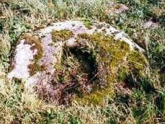 dartmoor-crosses.org.uk Browney