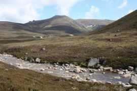 Bruach