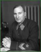Bruevich