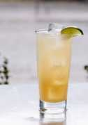 theluxuryspot.com Brugal