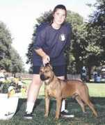 ablepaws.org Bruis