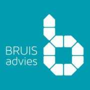 inicio.nl Bruis
