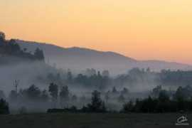 Brume