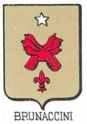 Brunaccini