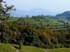panoramio.com Brunk