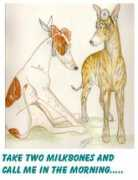 azgreyhounds.com Bruser