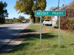 Brushy