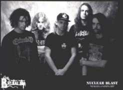 zenial.nl Brutality