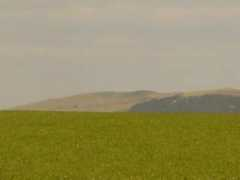 geograph.org.uk Bryanston