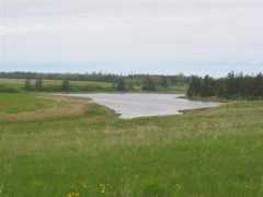 coulsonrealtypei.com Bryanton