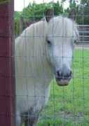 jbrranch.com Bryland
